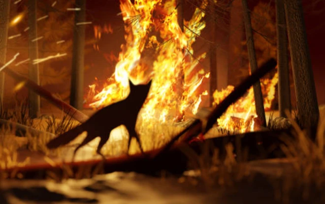 A fox silhouetted against fire in a forest