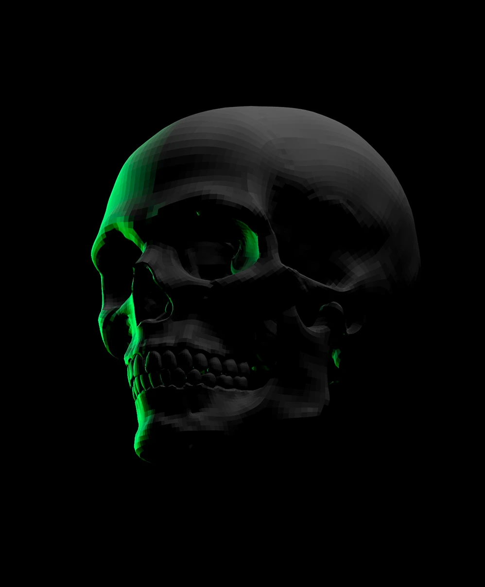 Human skull lit with moody rim lighting in 3 quarter profile