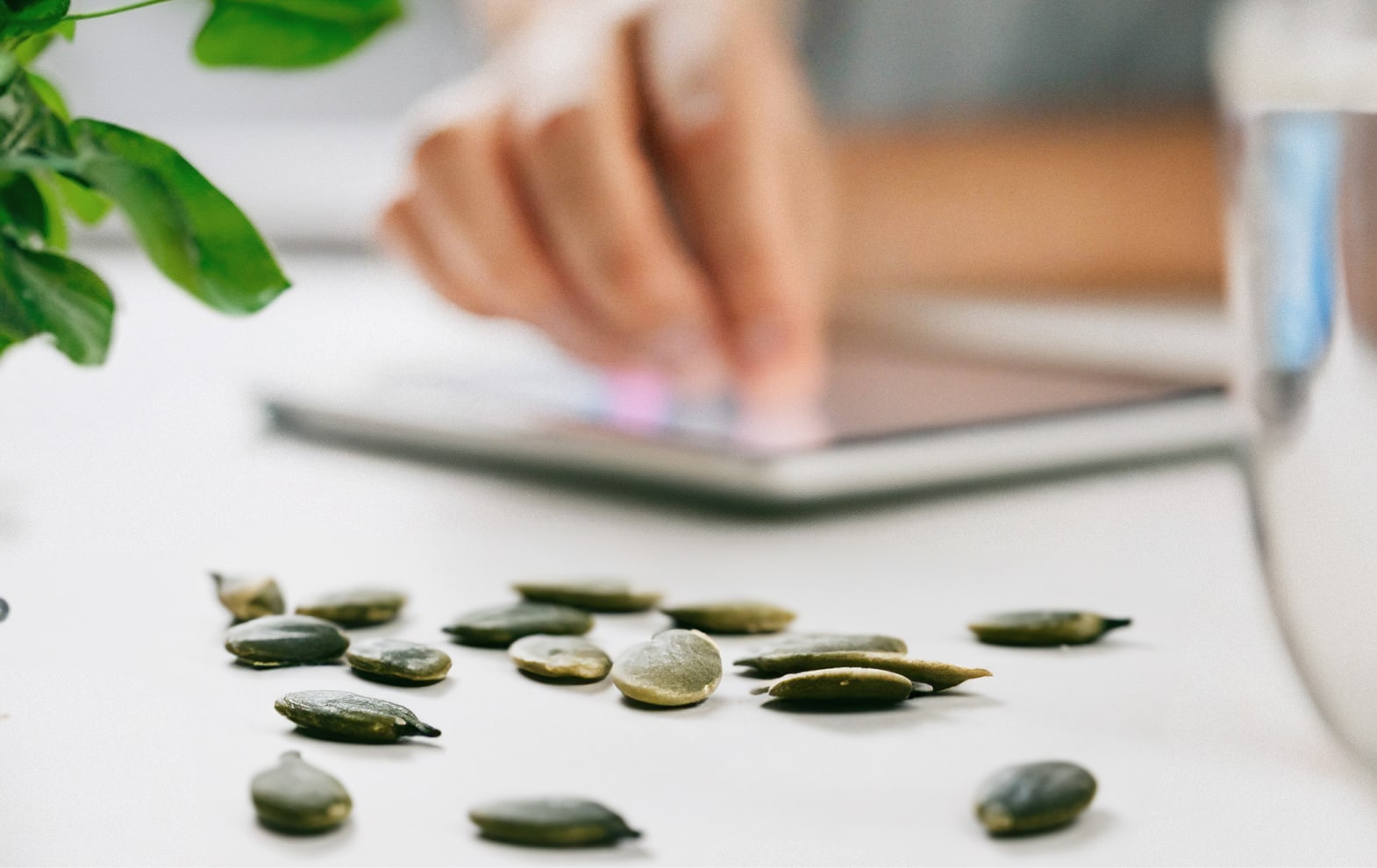 Person using tablet with pumpkin seeds on table