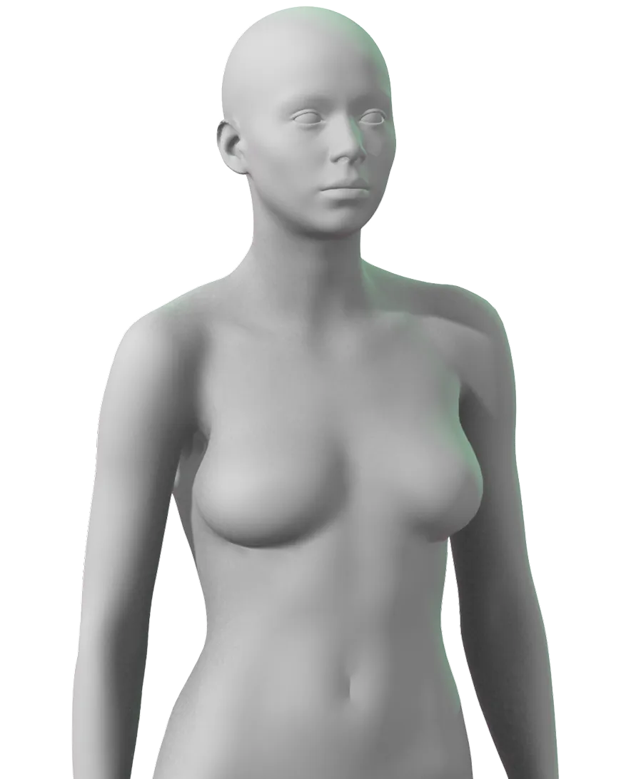 3D-rendered gray female mannequin torso with no hair or clothing, facing forward. Safe for work.