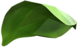 green basil leaf